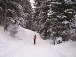 Bianco Capodanno sulle nevi di Vermiglio in Val di Sole (Trentino) - FOTOGALLERY